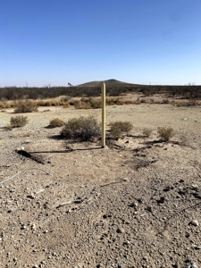 20.61 Acres Valley Gardens in Pecos County, Ft Stockton, Tx - image 12