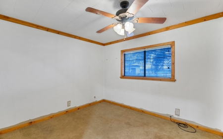 Horse Property In Kleberg County, Texas - image 11