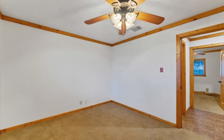 Horse Property In Kleberg County, Texas - image 9