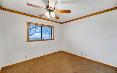 Horse Property In Kleberg County, Texas - image 7