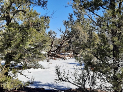 Beautiful Northern AZ off grid property. - image 5