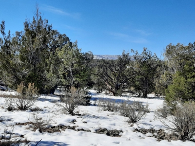 Beautiful Northern AZ off grid property. - image 8