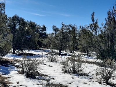 Beautiful Northern AZ off grid property. - image 9