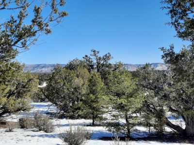 Beautiful Northern AZ off grid property. - image 1