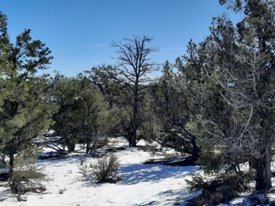 Beautiful Northern AZ off grid property. - image 3