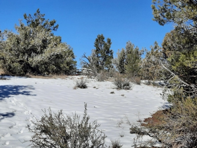 Beautiful Northern AZ off grid property. - image 7