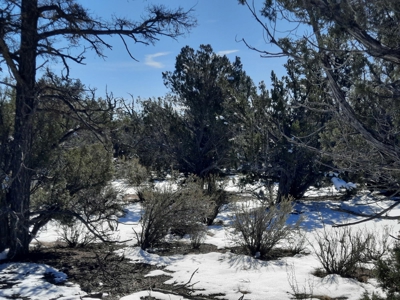 Beautiful Northern AZ off grid property. - image 6