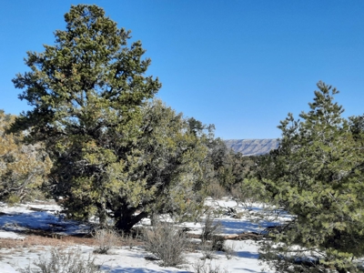 Beautiful Northern AZ off grid property. - image 4