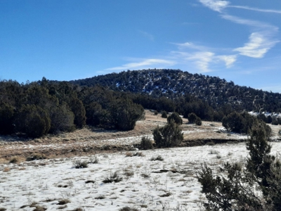 Gorgeous Views - image 1