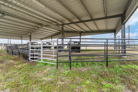 3/2 Home on 12.5acres with arena, barns, chicken coop. - image 34