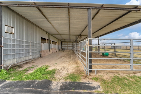 3/2 Home on 12.5acres with arena, barns, chicken coop. - image 42