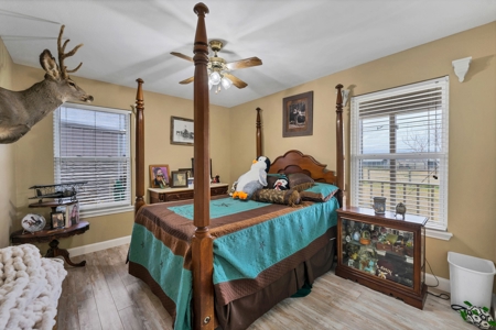 3/2 Home on 12.5acres with arena, barns, chicken coop. - image 4