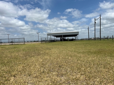 3/2 Home on 12.5acres with arena, barns, chicken coop. - image 49