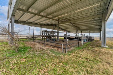 3/2 Home on 12.5acres with arena, barns, chicken coop. - image 35