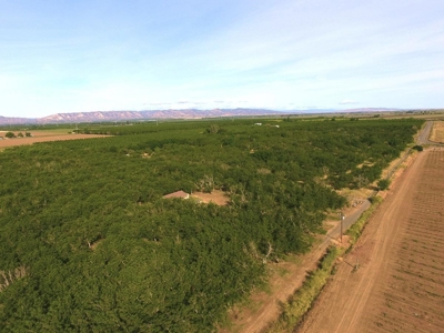 Winters, California Home & Farm Land for Sale - image 3