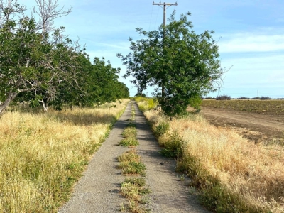 Winters, California Home & Farm Land for Sale - image 9