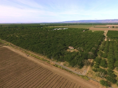 Winters, California Home & Farm Land for Sale - image 4