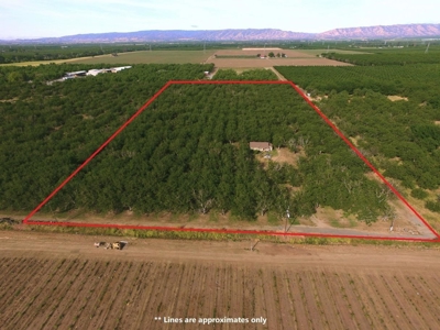 Winters, California Home & Farm Land for Sale - image 2