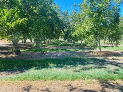 Yolo County, California Farm Land for Sale - image 1