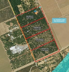 Yolo County, California Farming Acreage for Sale - image 16