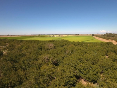 Yolo County, California Farming Acreage for Sale - image 2