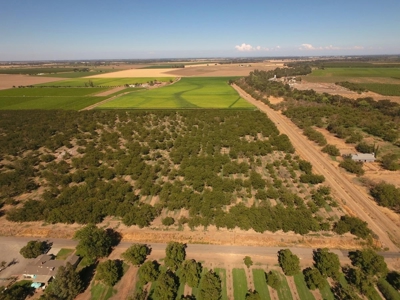 Yolo County, California Farming Acreage for Sale - image 10