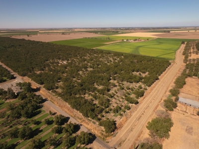 Yolo County, California Farming Acreage for Sale - image 11