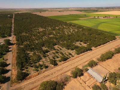 Yolo County, California Farming Acreage for Sale - image 12