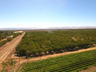 Yolo County, California Farming Acreage for Sale - image 3