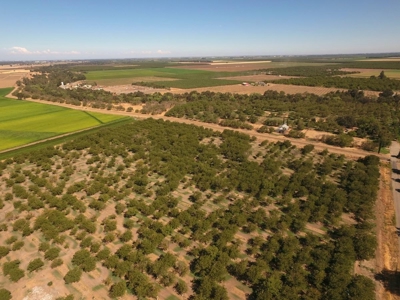 Yolo County, California Farming Acreage for Sale - image 9