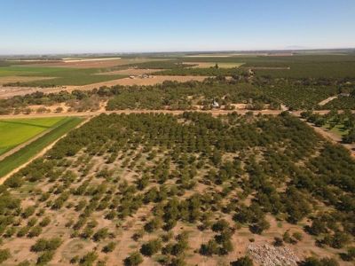 Yolo County, California Farming Acreage for Sale - image 7