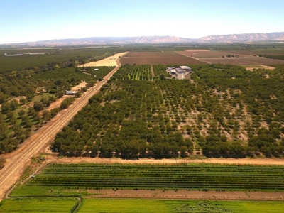 Yolo County, California Farming Acreage for Sale - image 4