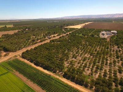 Yolo County, California Farming Acreage for Sale - image 5