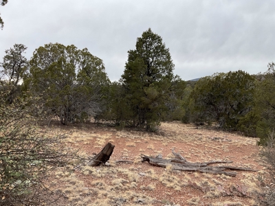 Mountain Land for Sale in Northern AZ - image 1