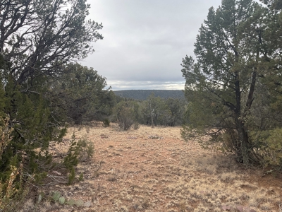 Mountain Land for Sale in Northern AZ - image 4