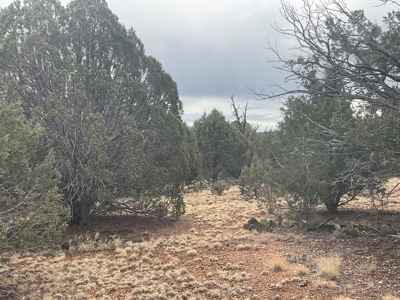 Mountain Land for Sale in Northern AZ - image 6