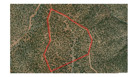Mountain Land for Sale in Northern AZ - image 7