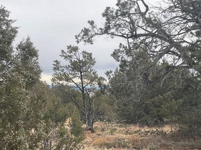Mountain Land for Sale in Northern AZ - image 5