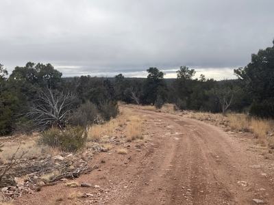 Mountain Land for Sale in Northern AZ - image 3