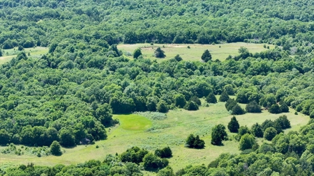 156 Acres Hunting & Fishing Property For Sale, Mcloud, Ok - image 20