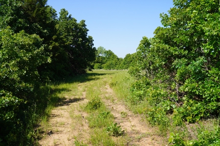156 Acres Hunting & Fishing Property For Sale, Mcloud, Ok - image 9
