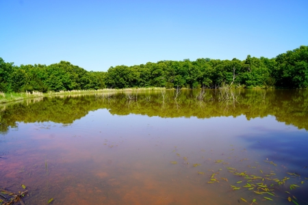 156 Acres Hunting & Fishing Property For Sale, Mcloud, Ok - image 13