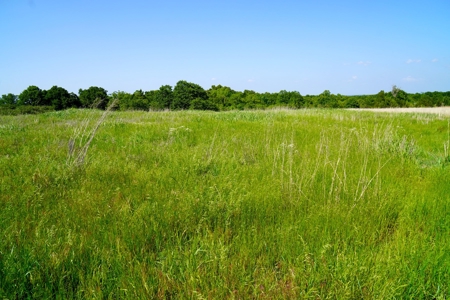 156 Acres Hunting & Fishing Property For Sale, Mcloud, Ok - image 22