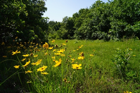 156 Acres Hunting & Fishing Property For Sale, Mcloud, Ok - image 21