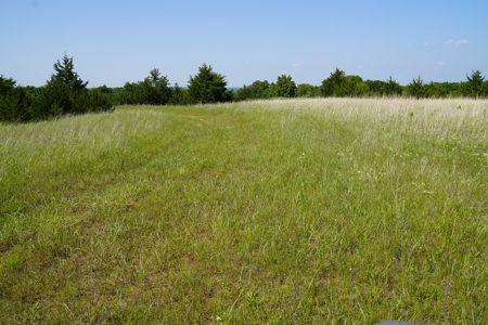 156 Acres Hunting & Fishing Property For Sale, Mcloud, Ok - image 26