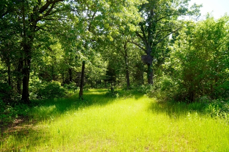 156 Acres Hunting & Fishing Property For Sale, Mcloud, Ok - image 27