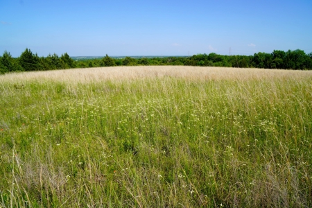 156 Acres Hunting & Fishing Property For Sale, Mcloud, Ok - image 23