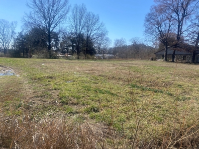 Commercial Land For Sale In Savannah Tn - image 8