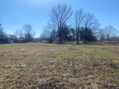 Commercial Land For Sale In Savannah Tn - image 7
