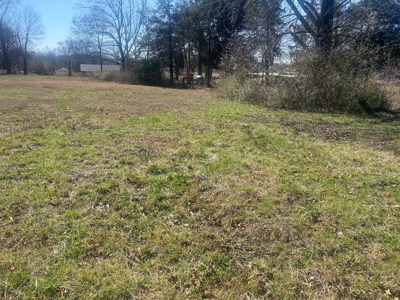 Commercial Land For Sale In Savannah Tn - image 6